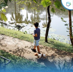 Sentul City dilengkapi fasilitas penunjang jadi kota mandiri