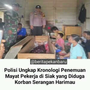 Salah satu pekerja perkebunan kelapa sawit tewas diterkam harimau