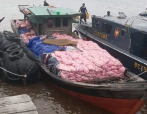 Penyelundupan 30 Ton Bawang Putih Dari Malaysia Digagalkan Bea Cukai Bengkalis