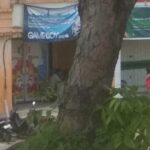 IMG-20250429-WA0076