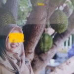 Oplus_16908288