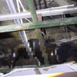 IMG-20250810-WA0022